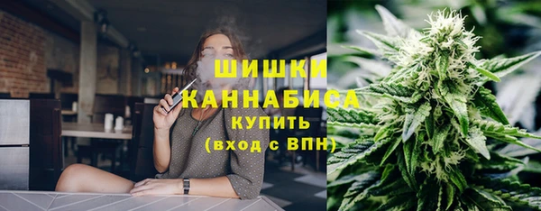 Альфа ПВП Арсеньев